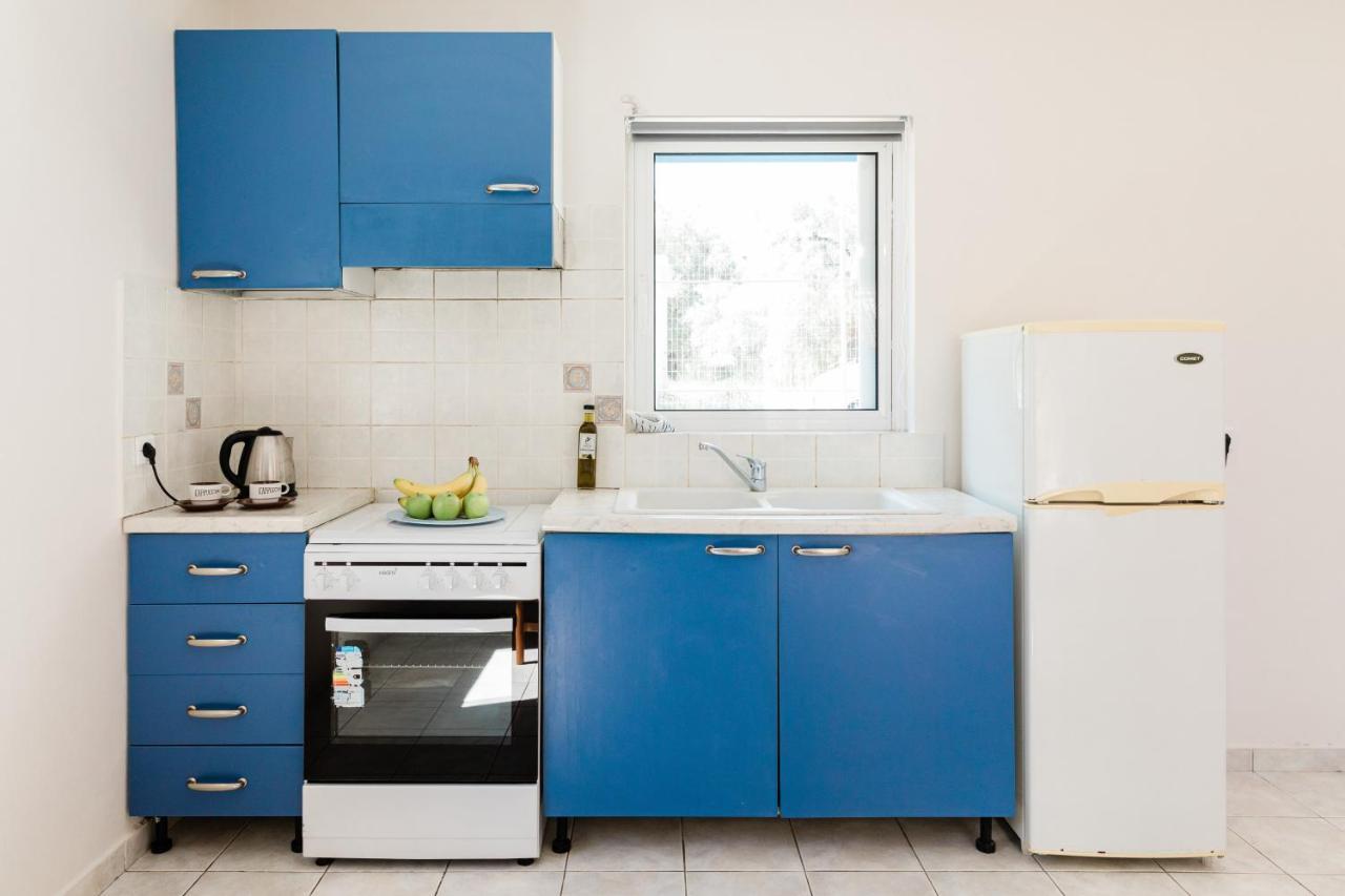 Alexandros Apartments Nydri Extérieur photo